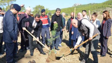 Serik'te 17 hektarlık alanda fidan dikimi yapıldı