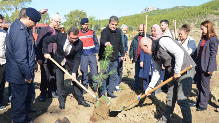 Serik'te 17 hektarlık alanda fidan dikimi yapıldı