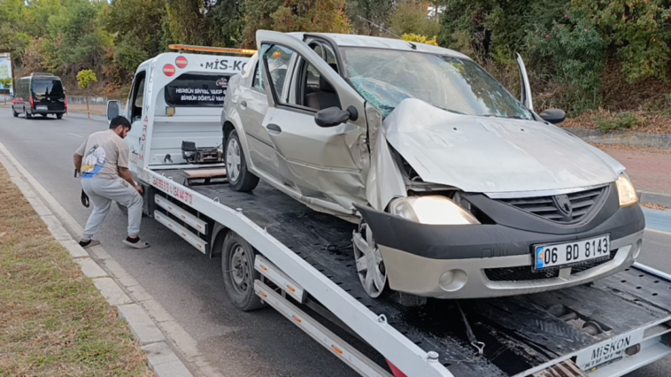 Seyir halindeki otomobil kontrolden çıkıp palmiyeyle çarptı, sürücü yaralandı