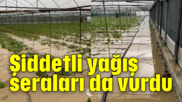 Şiddetli yağış seraları da vurdu