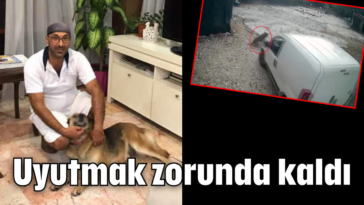 Uyutmak zorunda kaldı