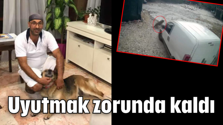 Uyutmak zorunda kaldı