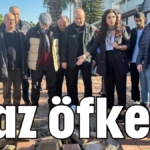 Baz öfkesi