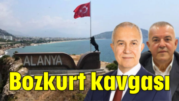 Bozkurt kavgası