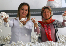 Büyükşehir Belediyesi, Alanya'da ipek böceği yetiştiriciliği kursu düzenledi