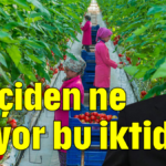 Çiftçiden ne istiyor bu iktidar?