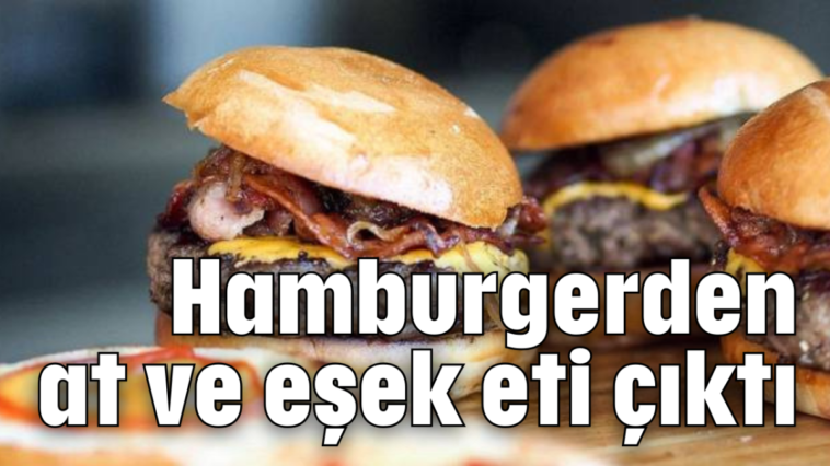 Hamburgerden at ve eşek eti çıktı