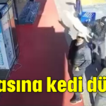 Kafasına kedi düştü