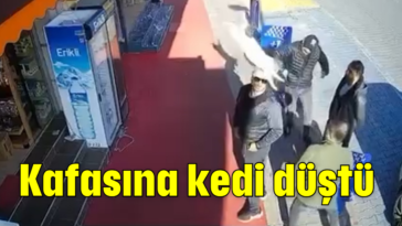 Kafasına kedi düştü