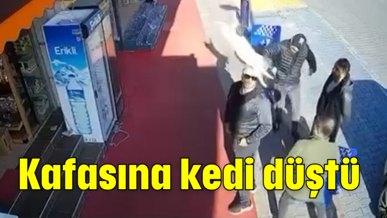 Kafasına kedi düştü