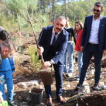 Kemer Göynük'te temmuz yangınında tahrip olan ormanlık alana fidan dikimi yapıldı