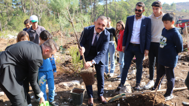 Kemer Göynük'te temmuz yangınında tahrip olan ormanlık alana fidan dikimi yapıldı