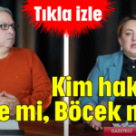 Kim haklı? Köse mi, Böcek mi?