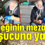 Köpeğinin mezarını başucuna yaptı