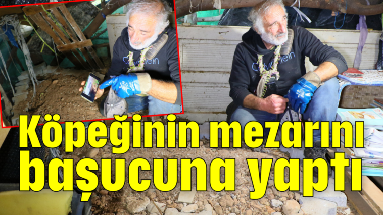 Köpeğinin mezarını başucuna yaptı