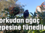 Korkudan ağaç tepesine tünediler