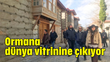 Ormana dünya vitrinine çıkıyor