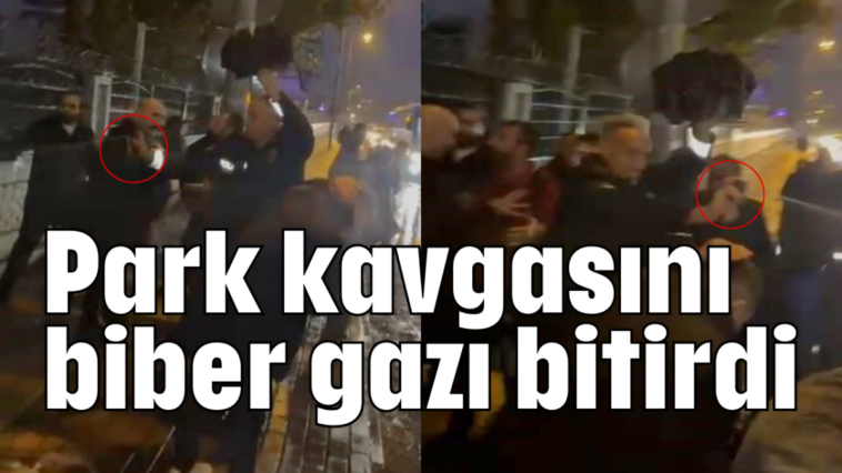 Park kavgasını biber gazı bitirdi