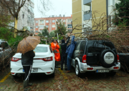 Rüzgardan ikiye bölünen ağaç otomobillerin üzerine düştü