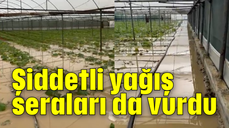 Şiddetli yağış seraları da vurdu