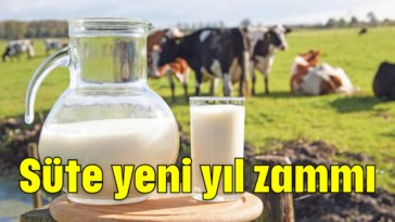 Süte yeni yıl zammı