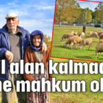 Yeşil alan kalmadı yeme mahkum olduk