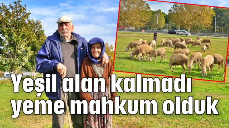 Yeşil alan kalmadı yeme mahkum olduk