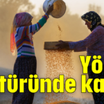 Yörük kültüründe kadın