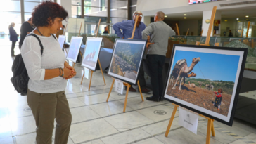 Yörük Türkmen Fotoğraf Sergisi açıldı