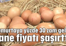 Yumurtaya yüzde 30 zam geldi: Tane fiyatı şaşırttı