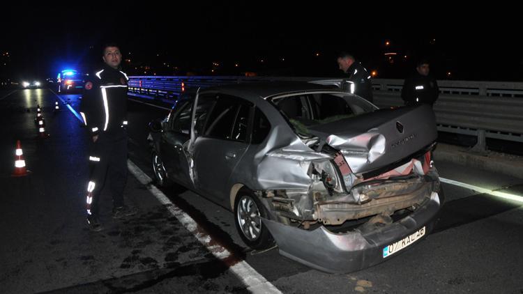 Köpeğe çarpan otomobilin sürücüsü yaralandı