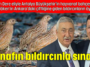 Adlıhan Dere eliyle Antalya Büyükşehir'in hayvanat bahçesinden Palandöken'in Ankara'daki çiftliğine giden bıldırcınların öyküsü: Esnafın bıldırcınla sınavı