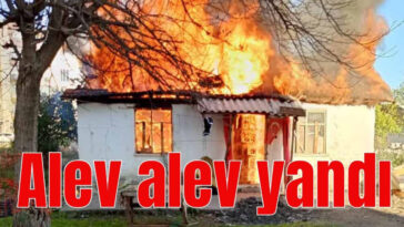 Alev alev yandı