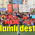 Anlamlı destek