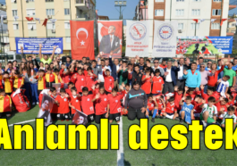 Anlamlı destek