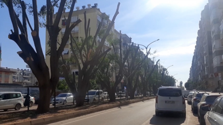 Belediye budadı vatandaş tepki gösterdi