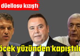 Böcek yüzünden kapıştılar