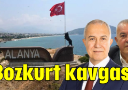 Bozkurt kavgası