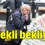 Emekli bekliyor