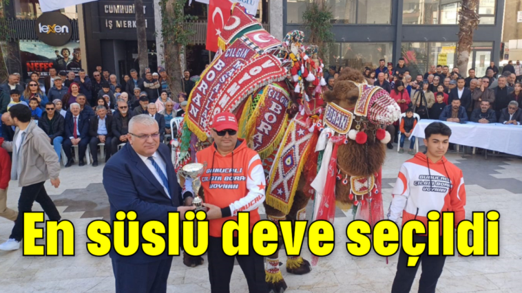 En süslü deve seçildi