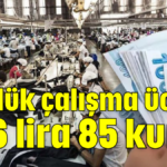 Günlük çalışma ücreti 886 lira 85 kuruş