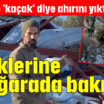 İneklerine mağarada bakıyor