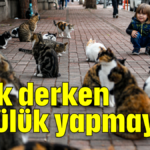 İyilik derken kötülük yapmayın!