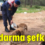 Jandarma şefkati!