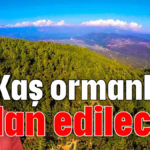 Kaş ormanları talan edilecek