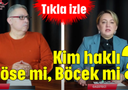 Kim haklı? Köse mi, Böcek mi?