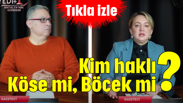 Kim haklı? Köse mi, Böcek mi?