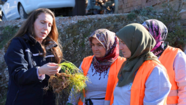 Manavgat'a safran ve salep fidesi hibesi