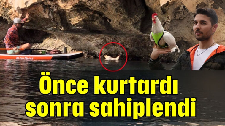 Önce kurtardı sonra sahiplendi