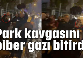 Park kavgasını biber gazı bitirdi